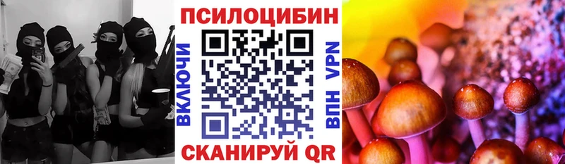 Галлюциногенные грибы прущие грибы  Прохладный 